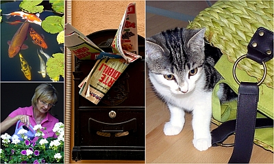 Hier sind Bilder von Serviceleistungen, wie Blumen gie&szligen,Katzenbetreung umd Teichpflege.